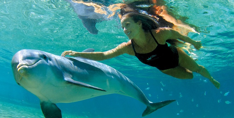 Mulher nadando com golfinho em Cancún