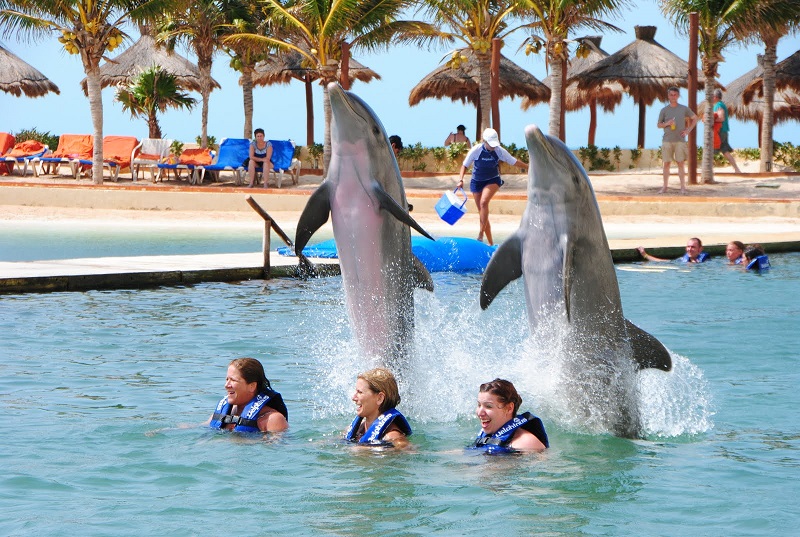 Nado com golfinhos em Cancún