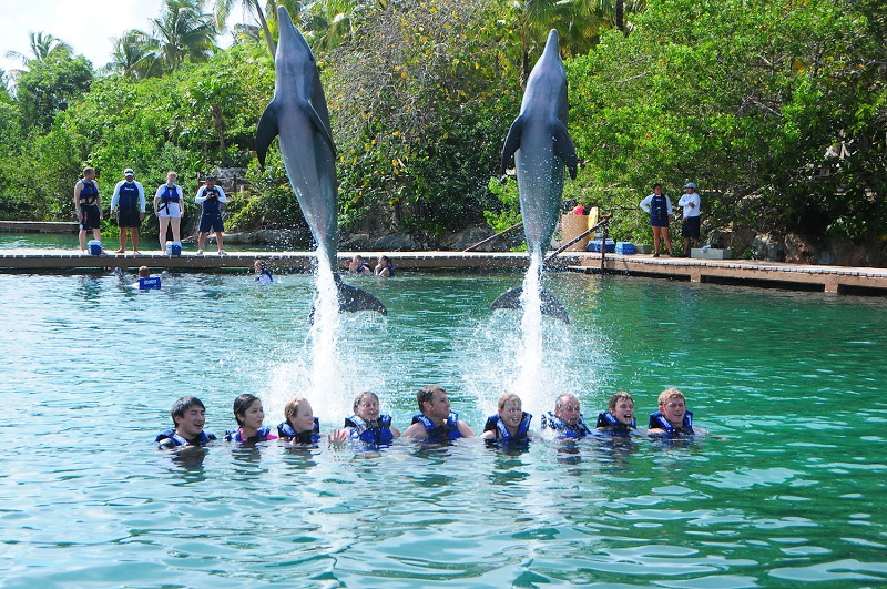Nado com golfinhos no Xel-Há - Cancún