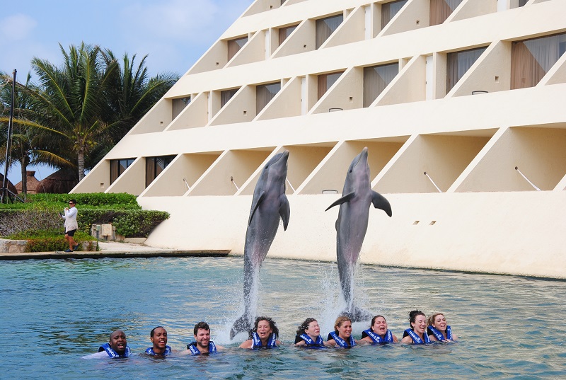 Nadar com os golfinhos no Delphinus Cancún