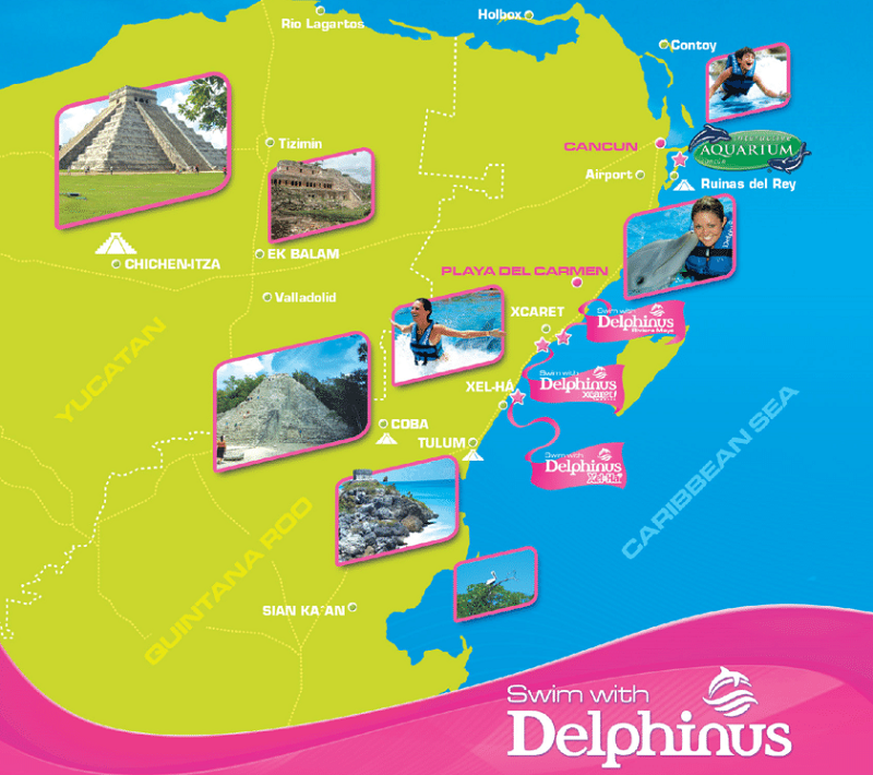 Nado com golfinhos no Delphinus - Mapa