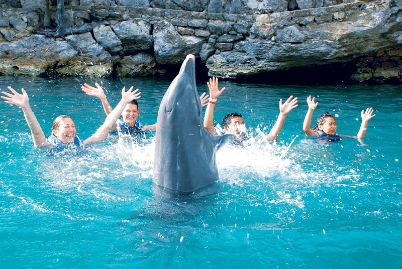 Passeio para o nado com golfinhos para fazer com crianças em Cancún