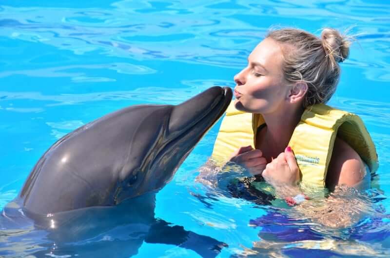 Nado com golfinhos em Cancún