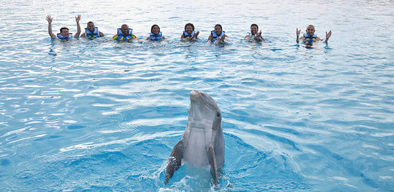 Nado com golfinhos no Chankanaab Beach Adventure Park em Cancún
