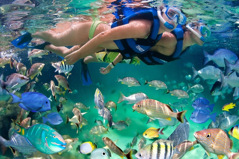 Mergulho de snorkel no parque Xcaret em Cancún