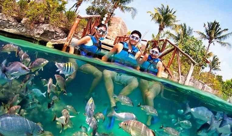 Parque Xel-Há para curtir em família em Cancún