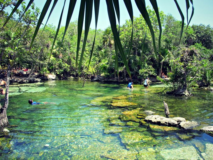 Cenote Azul em Tulum