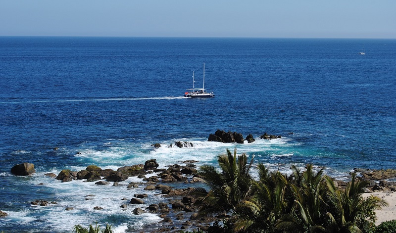Passeio romântico de barco ou catamarã em Los Cabos