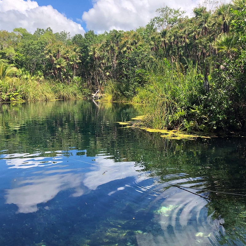 Cenote Crystal próximo ao Cenote Escondido em Tulum